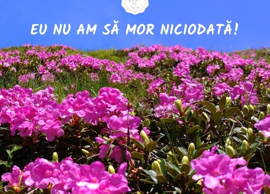 Eu nu am să mor niciodată!